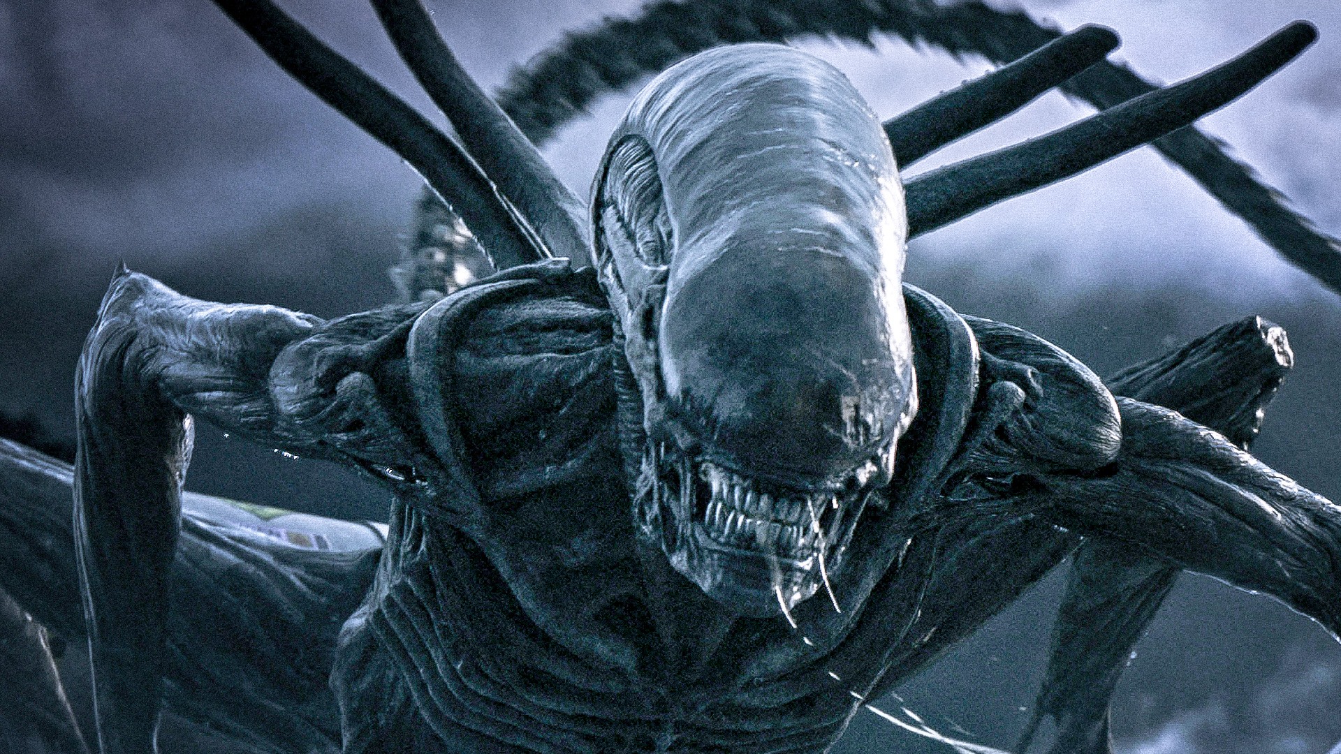 Streama Alien: Covenant