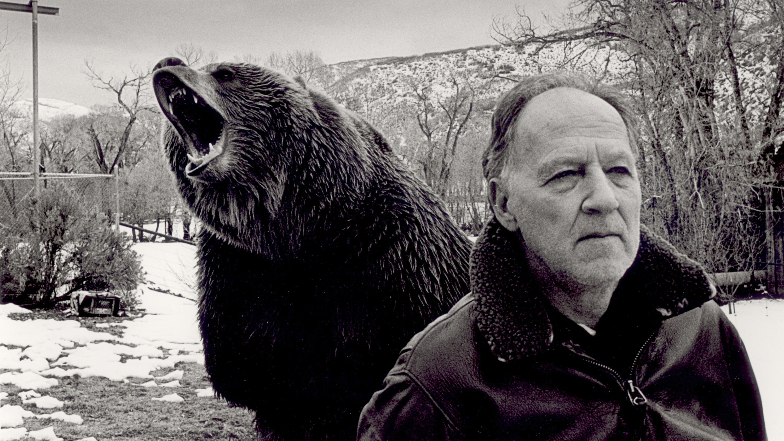 Werner Herzog