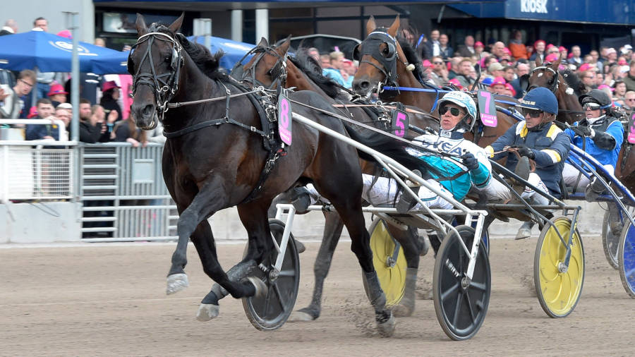 Elitloppet 2024 – tv-tider, hästar, odds, vinnare m.m.