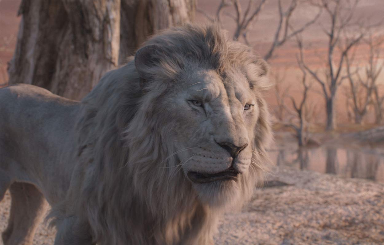 Recension: Mufasa: Lejonkungen (2024) – Disney bjuder på värme i vinterkylan