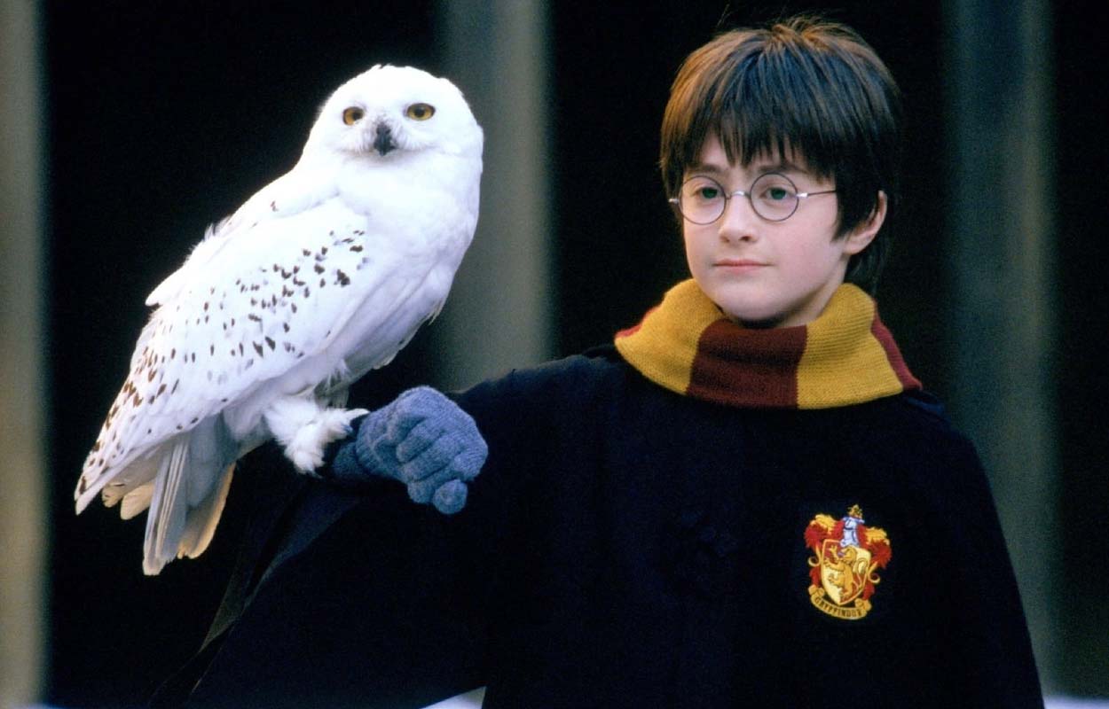 Regissören om Harry Potter-serien: ”En möjlighet att göra det vi inte kunde”