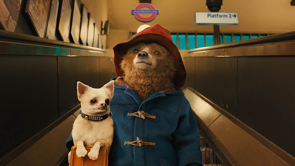 Paddingtonfront