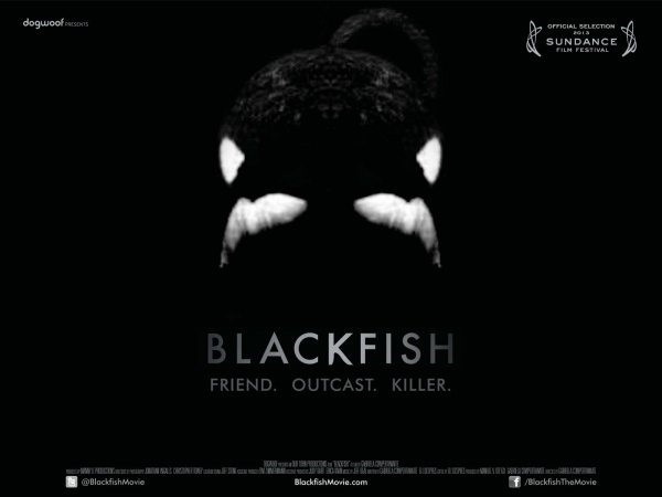 Blackfish