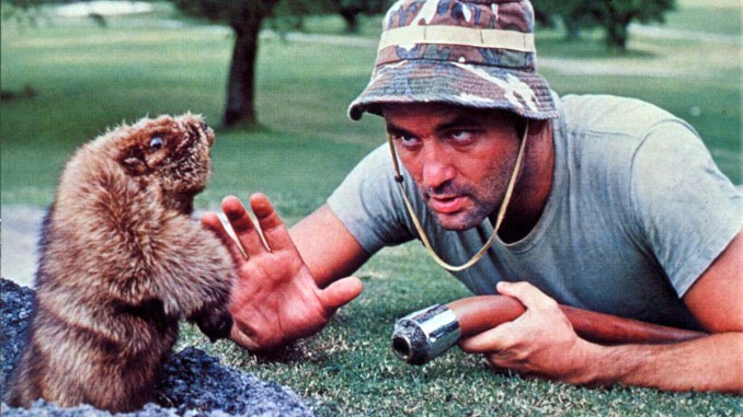 GACCADDYSHACK01