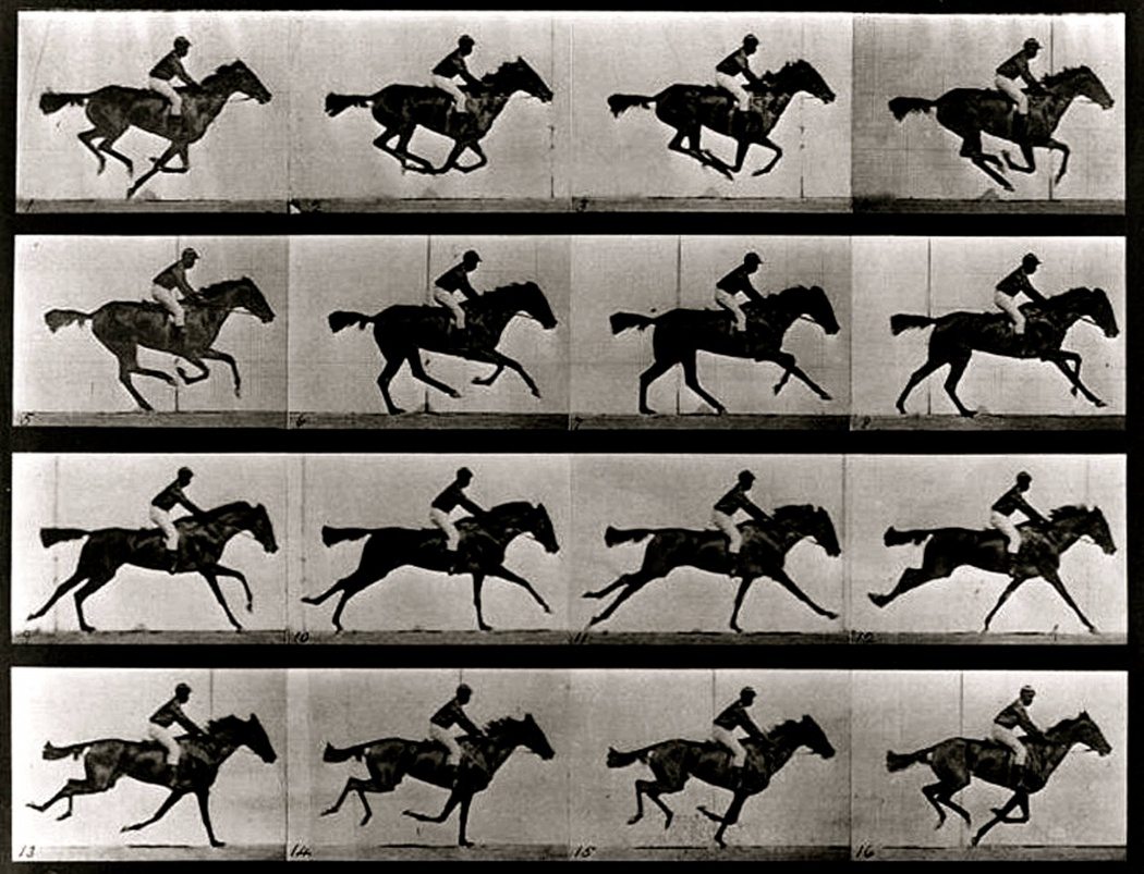 Muybridge film