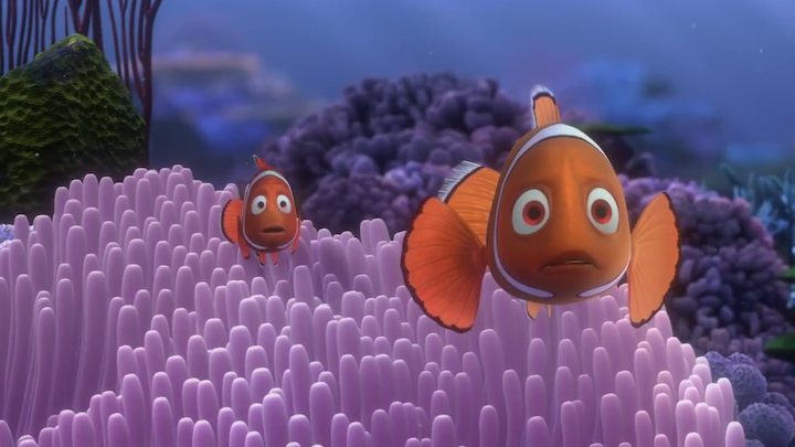 Hitta Nemo