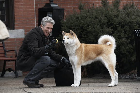 Hachiko