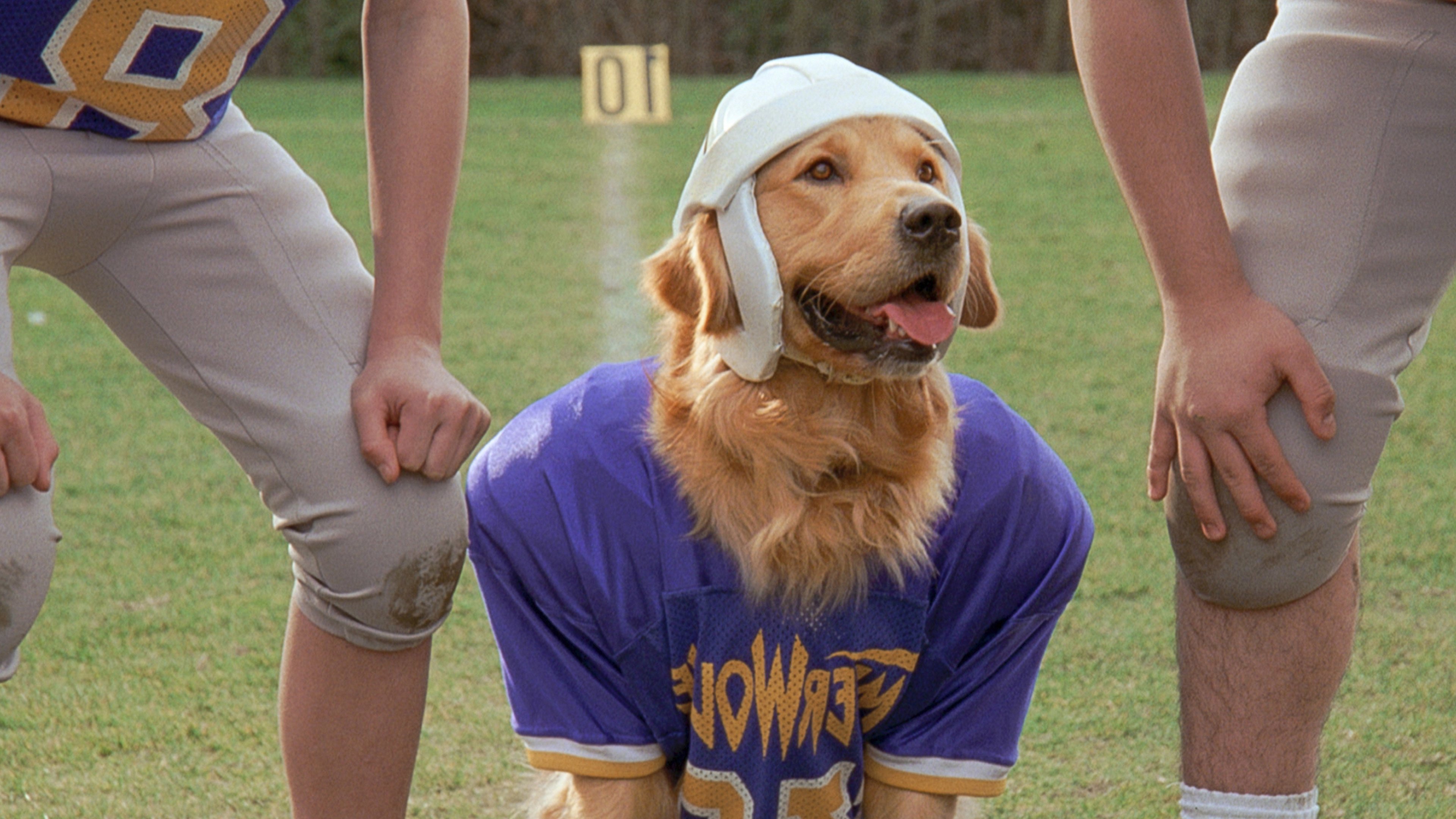 Air Bud