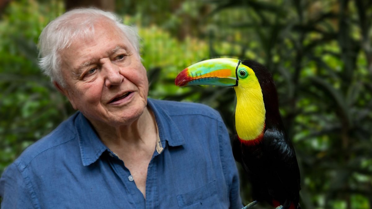 Bland de bästa serierna 2021 hittar vi Life in Color with David Attenborough på Netflix.