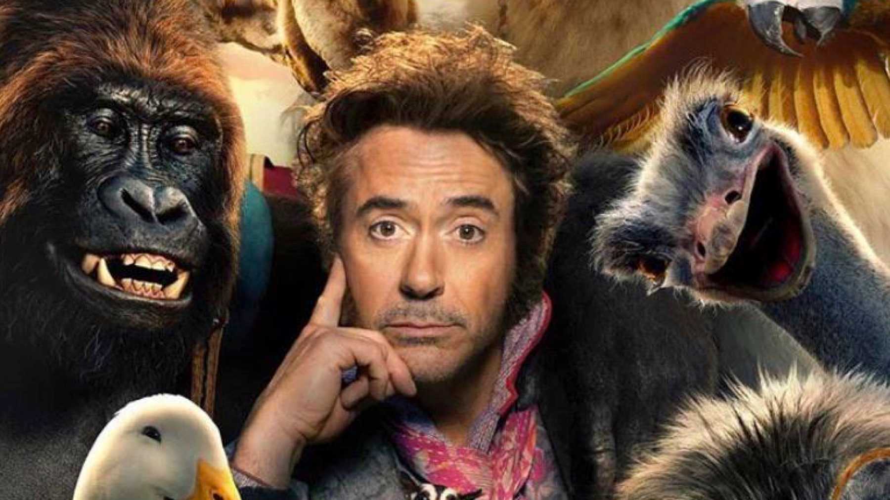 Bild på Robert Downey Jr.