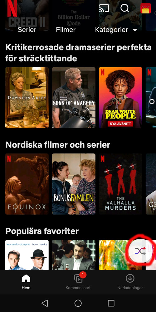 Netflix