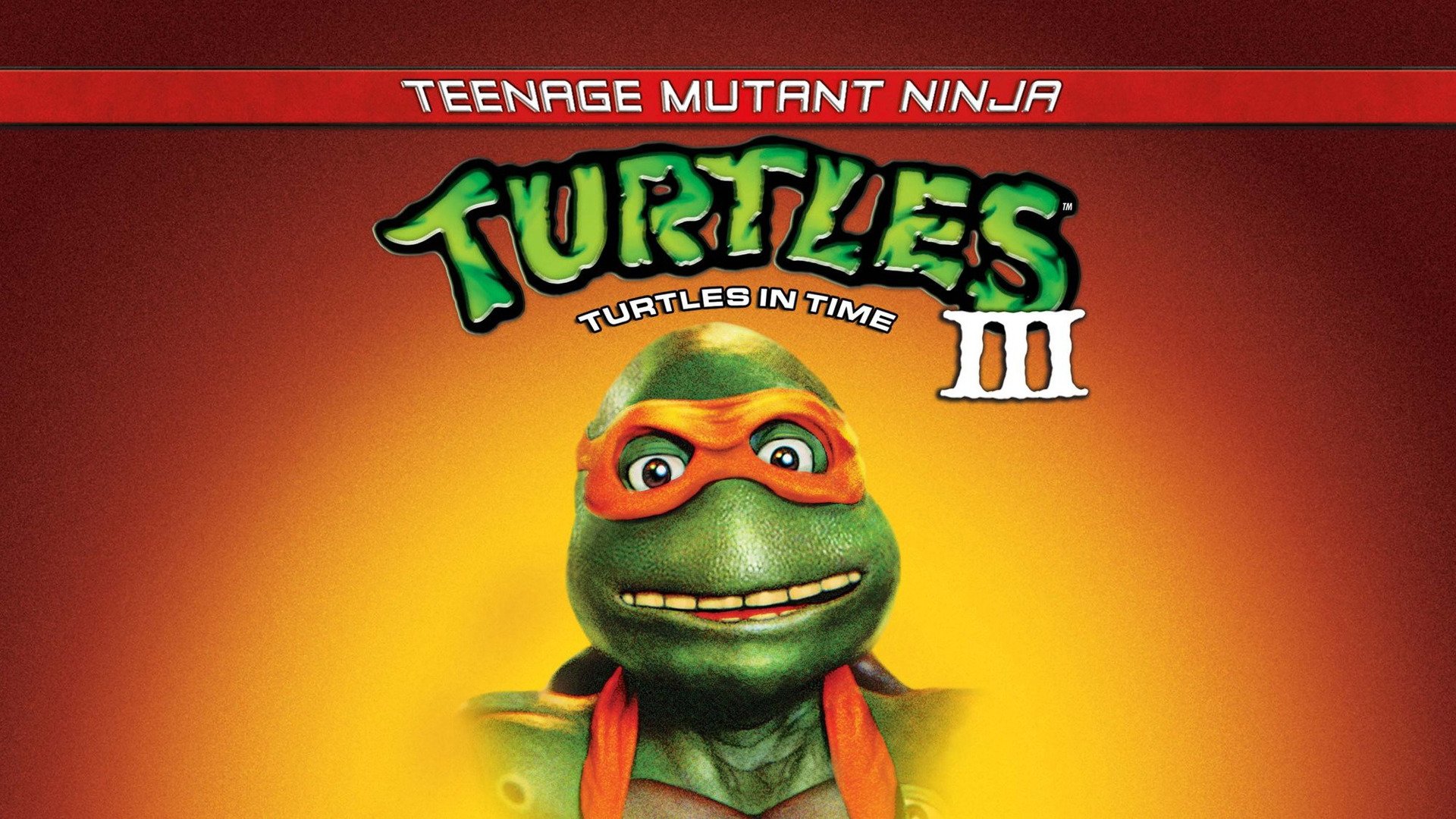 Turtles 3