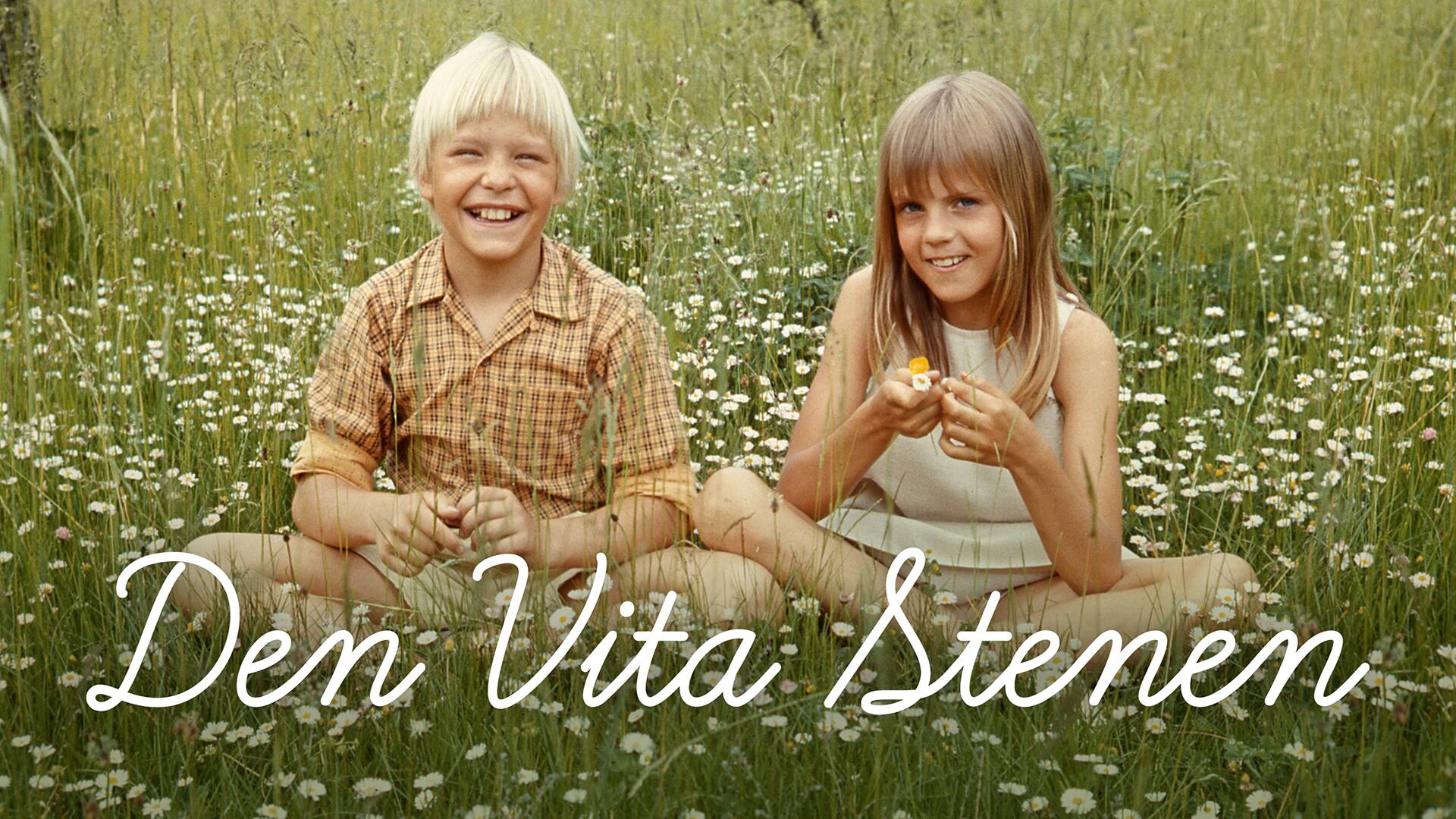 Den vita stenen