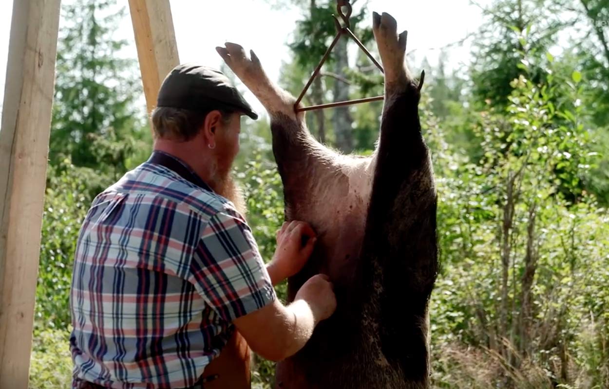 Starka bilder i Farmen – deltagarna bryter ihop när Göran slaktas