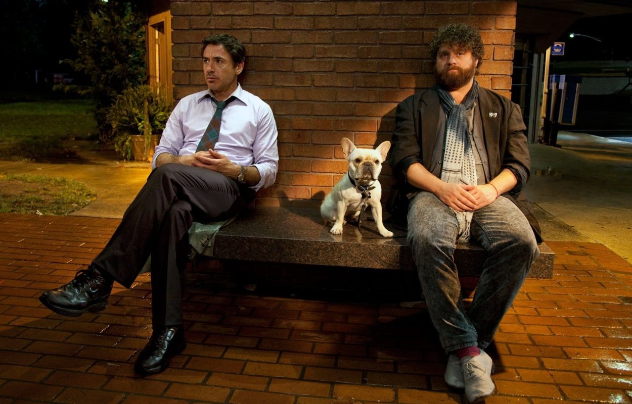 Due Date (2010)